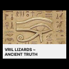Vrill Lizards Website