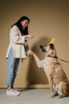 Training Techniques
