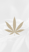 Visita nuestra web