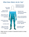 Health protocols for Water