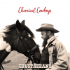 Chemical Cowboys music video