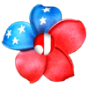 dearJulius.com