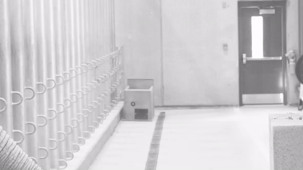 Ecoresorbable Robotics