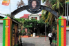 Kingston Town Tour