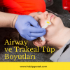 Airway ve Trakeal Tüp Boyutları