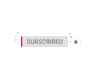 Interviews, Talks, Vidcasts