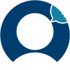 MyOpinion
