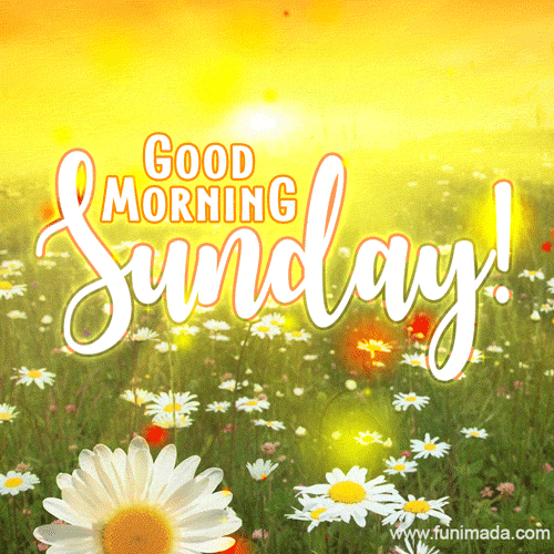 Sunday Morning