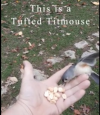 Bird in the Hand