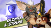 Dream Icon: Gizmo & Stripe