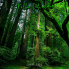 Listen to Mellow Out, Vol. 4