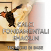 Calci fondamentali Shaolin - Tecniche di base