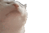 Soundcloud