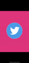 Twitter✨