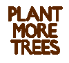 Cartão Reflorestar | Reforestation card | 再造林卡