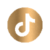 قناة Tiktok