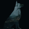 Wishlist and Follow Beyond the Pines