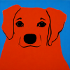 Archie's Gallery
