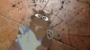 Discord