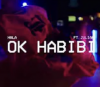Ok Habibi