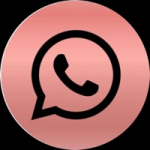 Fazer pedido via WhatsApp
