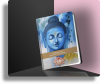 Meditation Journal