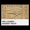 Vrill Lizards Website