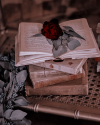 Author Page Amazon