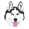 Personal Website