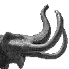 Now on Mastodon!