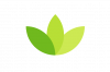 Image Classifier (Android)