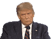 Donald J. Trump Golden Check