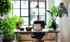 Office Plants & Care Services