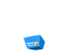 Flipkart