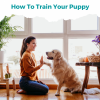 How To Train Your Puppy