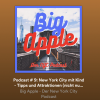 🎧🎙️Big Apple Podcast #9: New York mit Kind(ern) & viele tolle Tour-Ideen 👍😉🇺🇸🗽