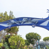 Lunar New Year Celebration at Downtown Disney District
