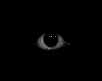 Obfuscator Lua for Roblox script | Source |