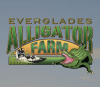 🐊 Alligatoren & Airboat nur 40 Minuten von Miami