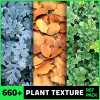 430+ Plant Texture Reference Pack