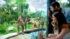 Bali Zoo