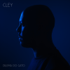 Ouça o álbum Dilema do Gato