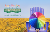 Live Colorfully | The Flower Fields | Carlsbad, CA