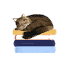 Bookshop.org