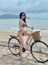 Các loại xe