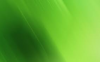 Tema Hijau | Team Green