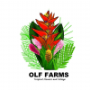 OLF FARMS | Flores y Follages Tropicales