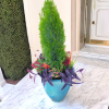 Spring Color Planter Designs