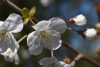 Insta: Photographie