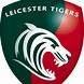My sports team